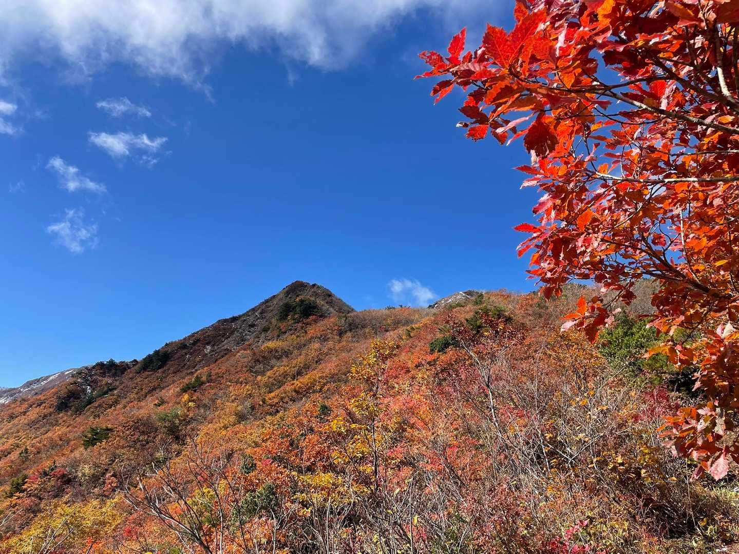 鶴平新道登山口-赤頭山 往復コースの写真