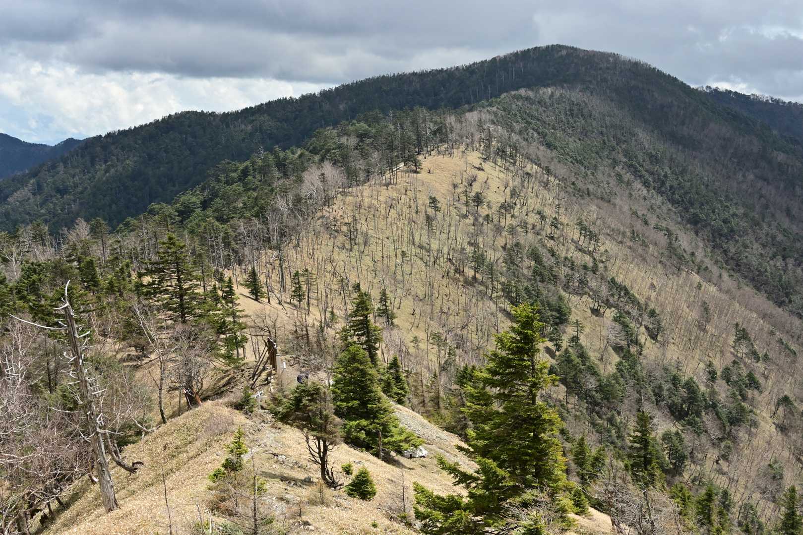 雁坂嶺側にちょっと登ると峠と水晶山への稜線が見通せるビューポイントです。