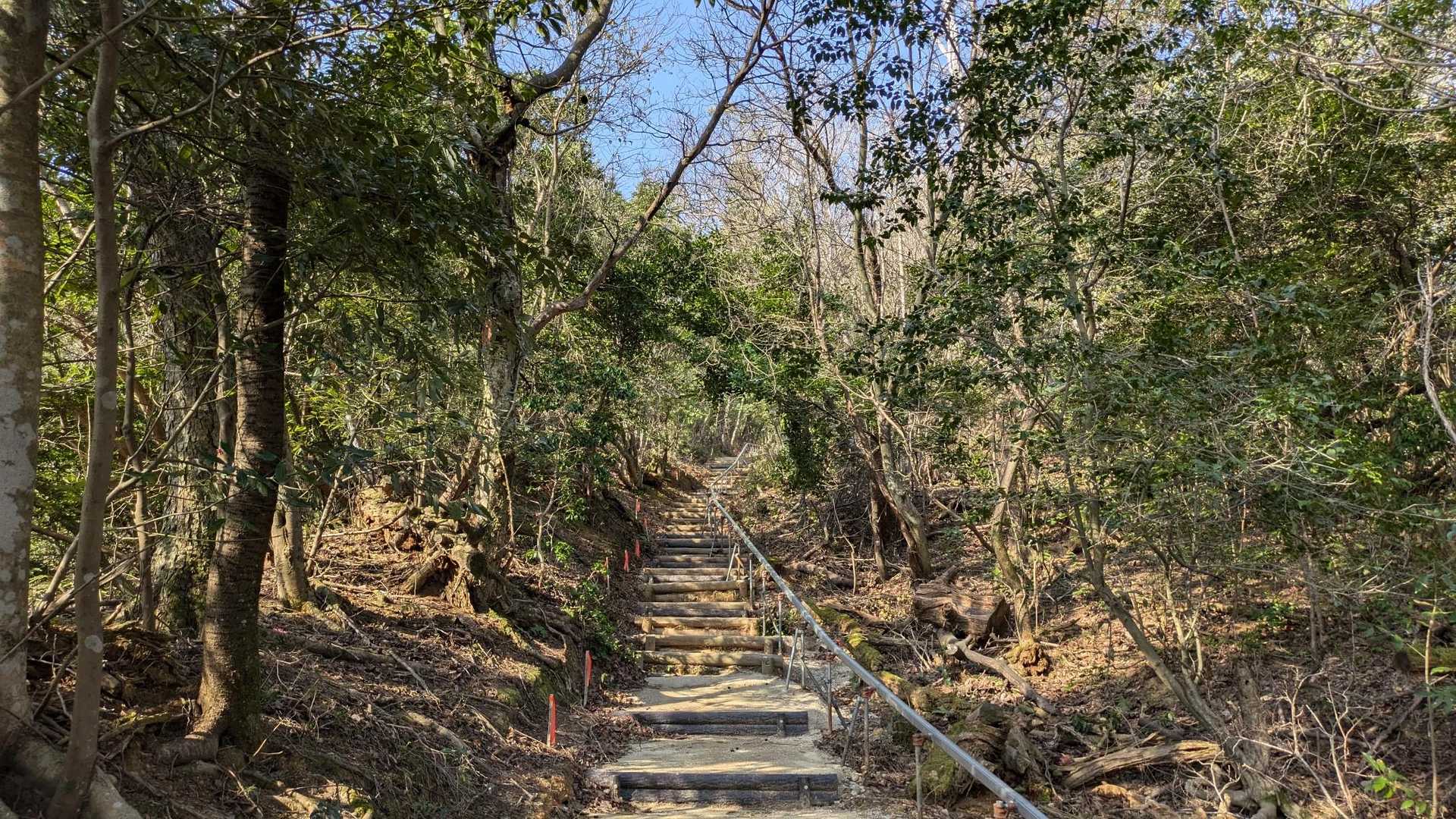 旅伏峰-伊努谷峠-鼻高山-矢尾峠-大黒山-遥堪峠-万ヶ丸山 縦走コースの写真