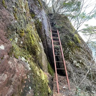 怖いけどここまで来たから登ります笑