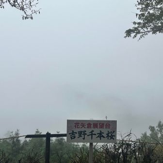 花矢倉展望台からの景色はまっしろ😶‍🌫️