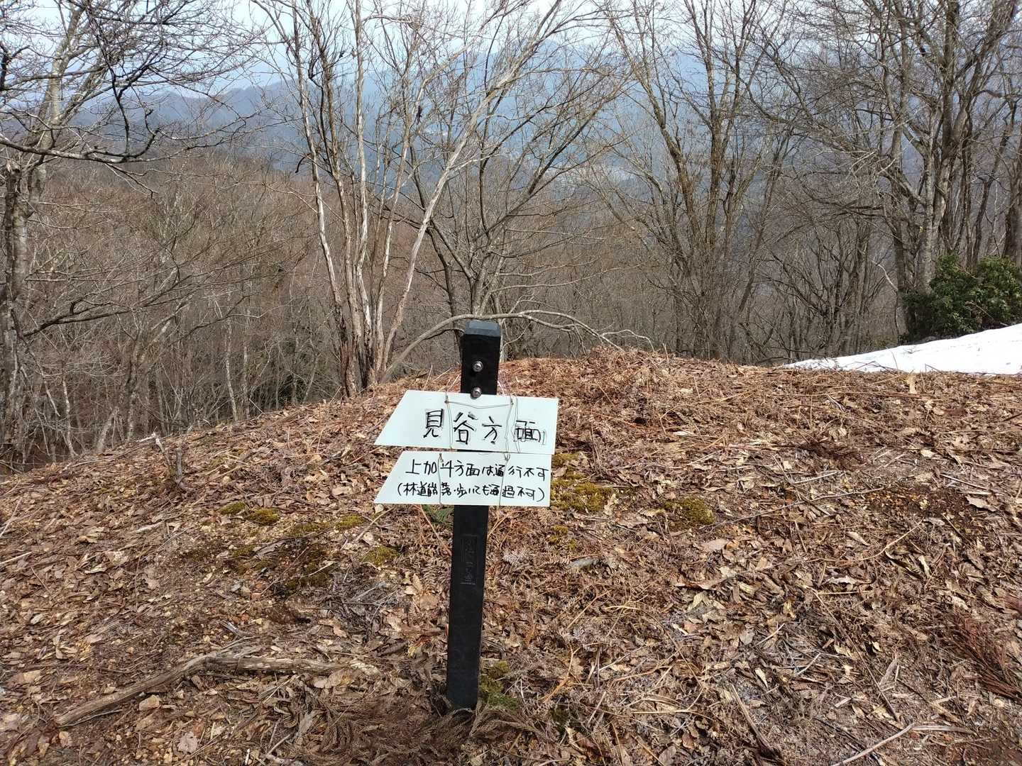 飯盛山 往復コースの写真