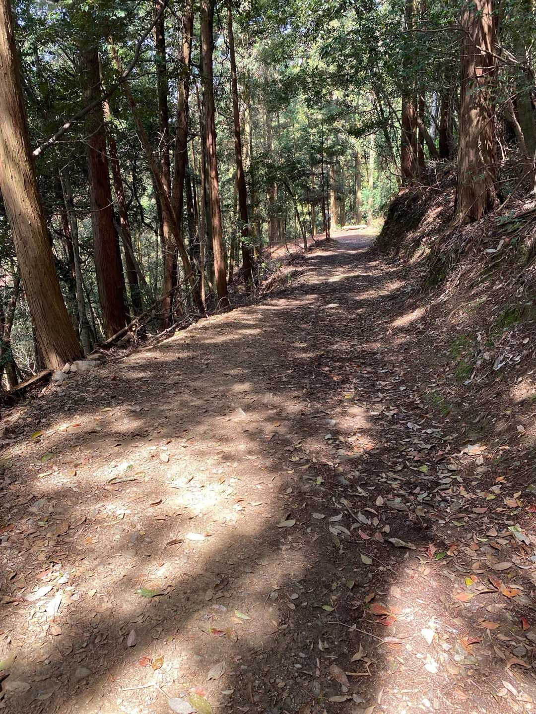 山道歩きます。