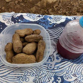 生の落花生🥜を塩ゆでして持ってきた。美味しい😄。
鉄鍋で煮てるので、うす黒いけど鉄分とれる。

鉄分のサプリを飲まなくても鉄鍋や鉄のフライパンを料理に日々使ってたら自然に鉄分が取れるよ。