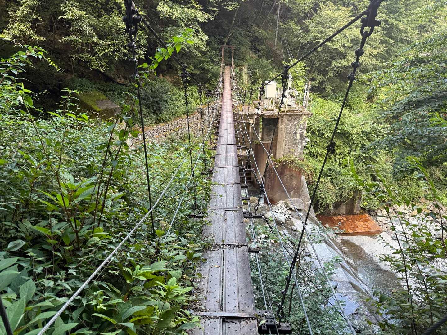 大門沢登山道入口-農鳥岳 往復コースの写真