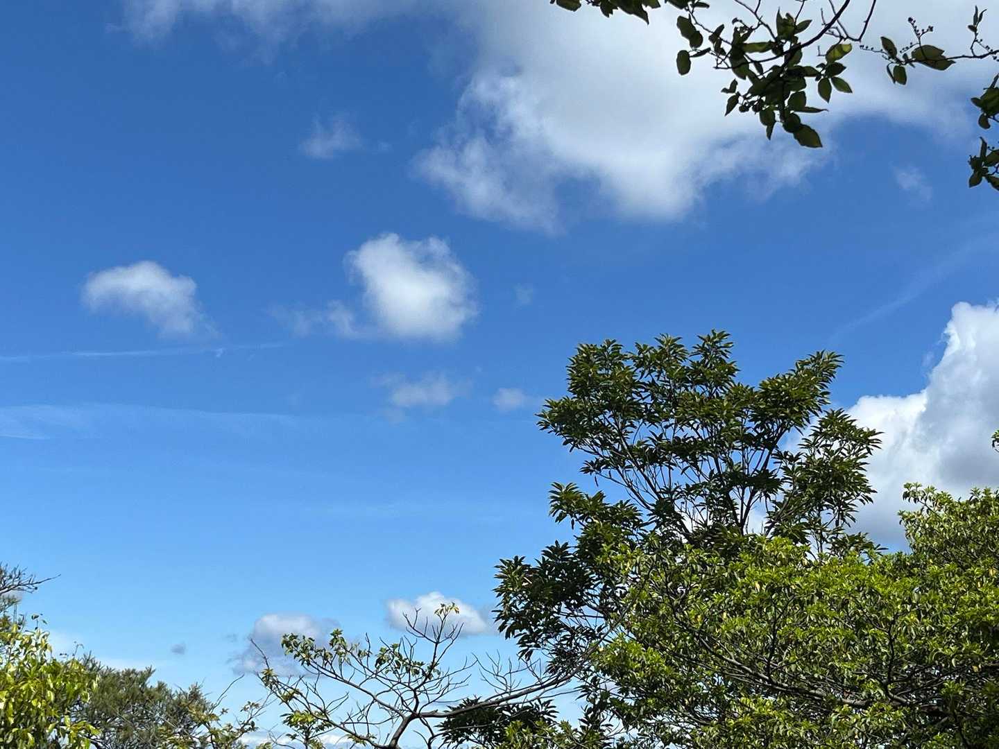 真っ青な空
風は少しあるけど気持ち良い。