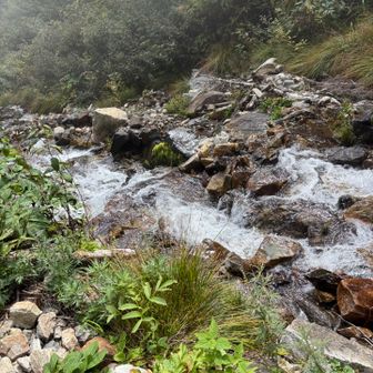 雨で水量が増して勢いがすごかったです