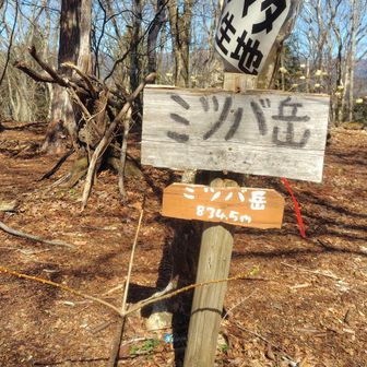 ミツバ岳山頂