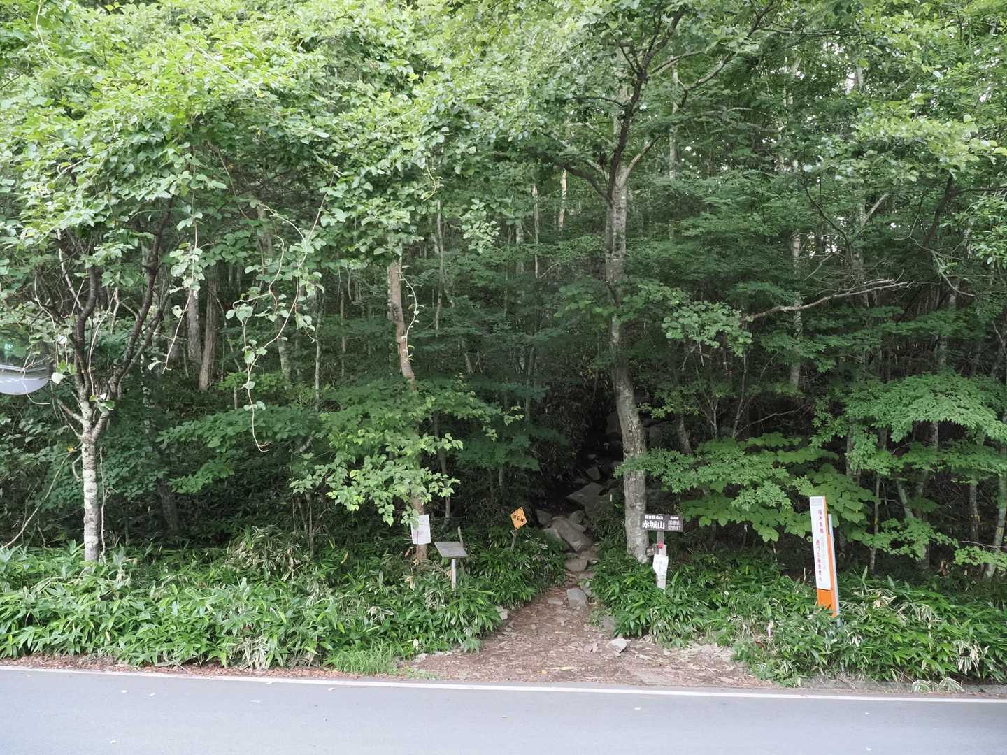 少し舗装路を歩いて登山口に🚶‍♂️