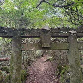 作禮山神社⛩️