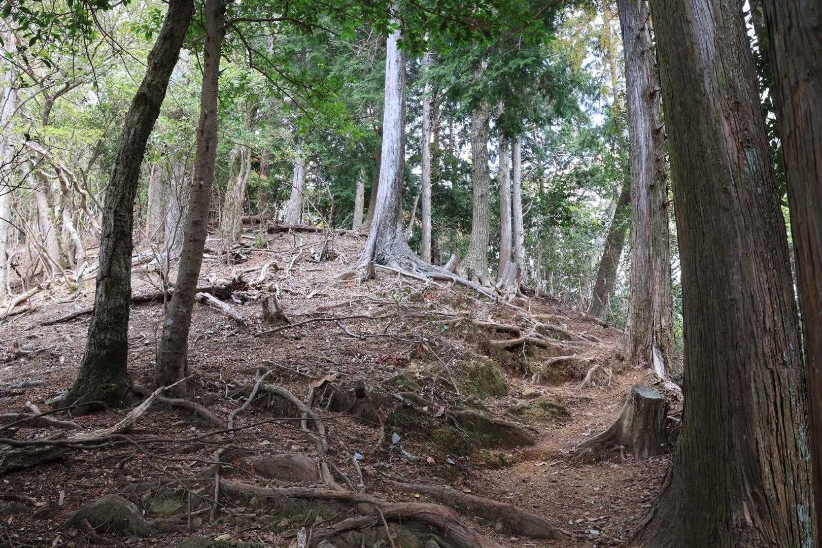 登って