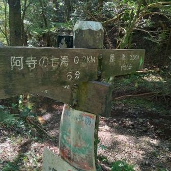 右に行きます