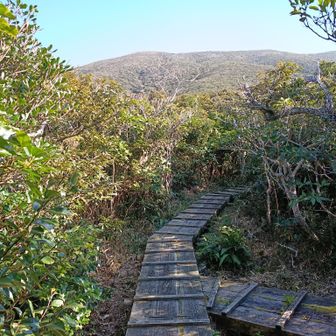 えびね公園から見た御山