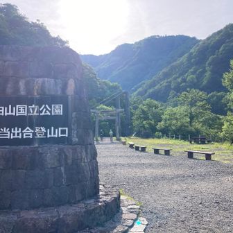 お願いしま〜す！