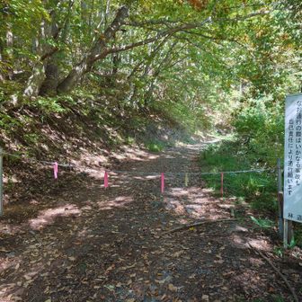 林道終点駐車まで行かれません。