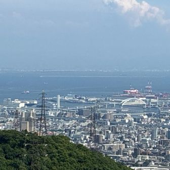 先日乗船したサンフラワーが見えてます