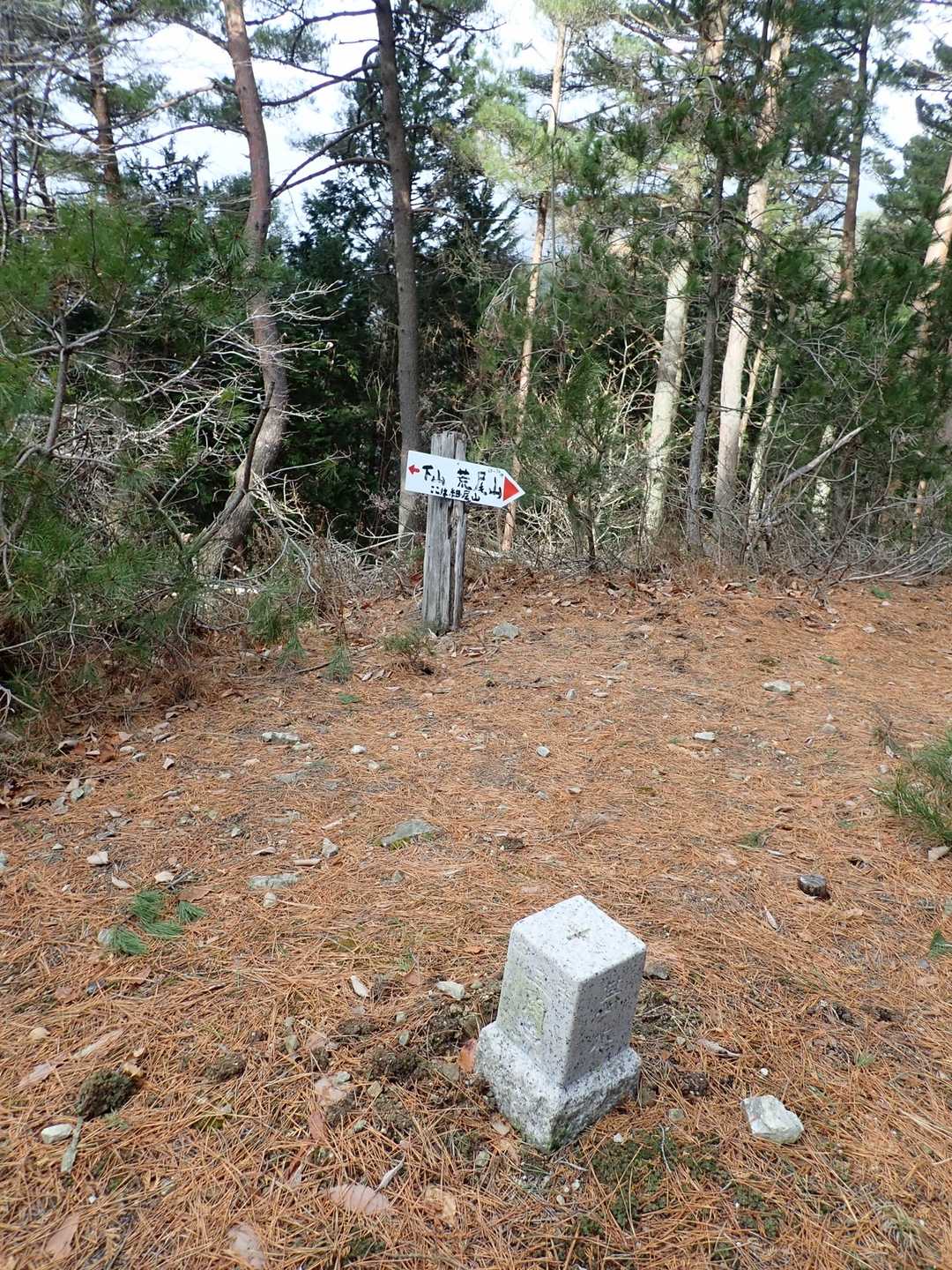 細尾山の三角点