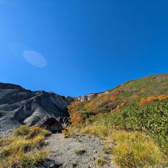 火山　紅葉