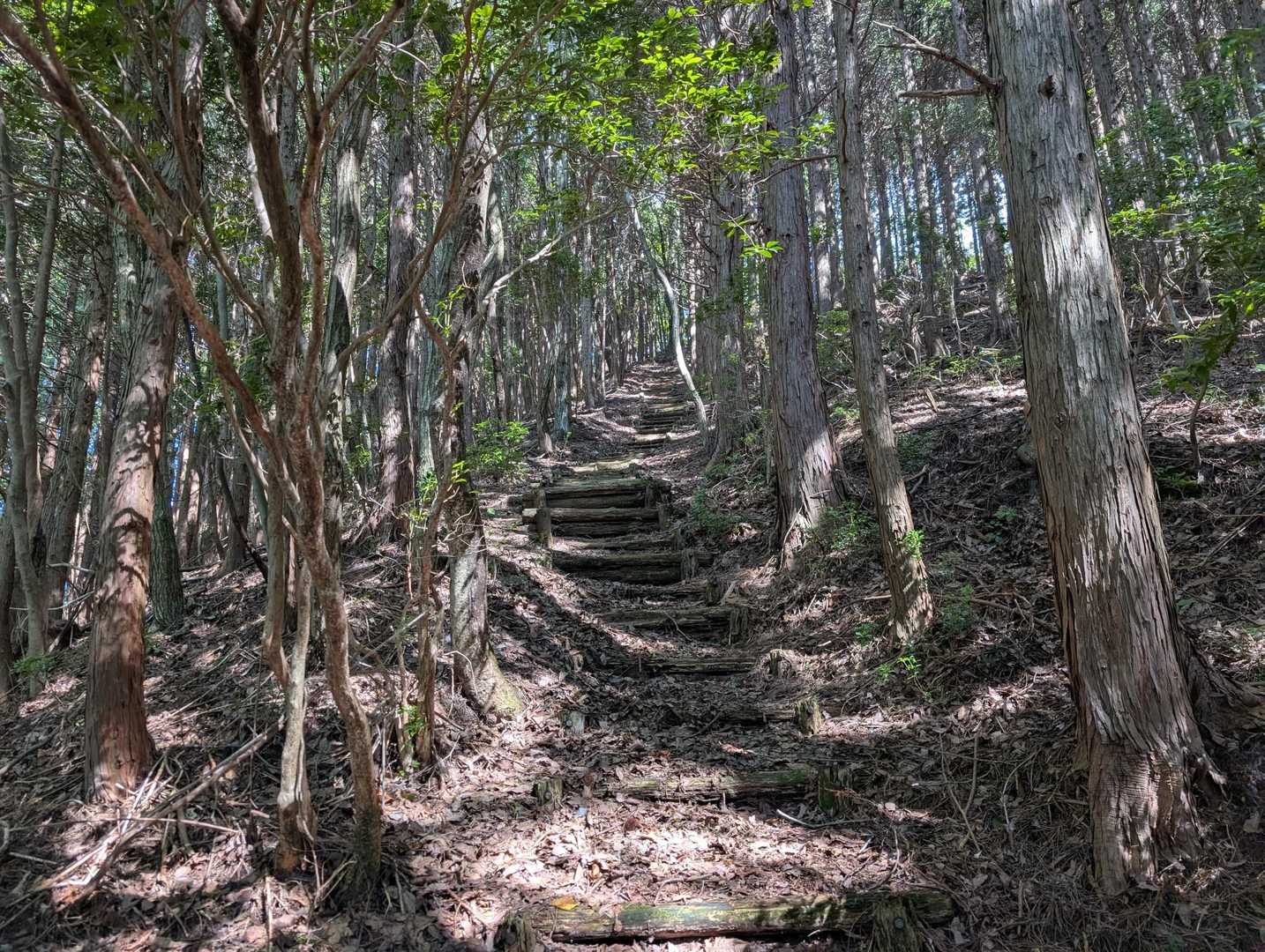 階段地獄(-_-;)