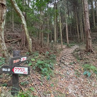 七曲りコースで🧑🏼‍🦯