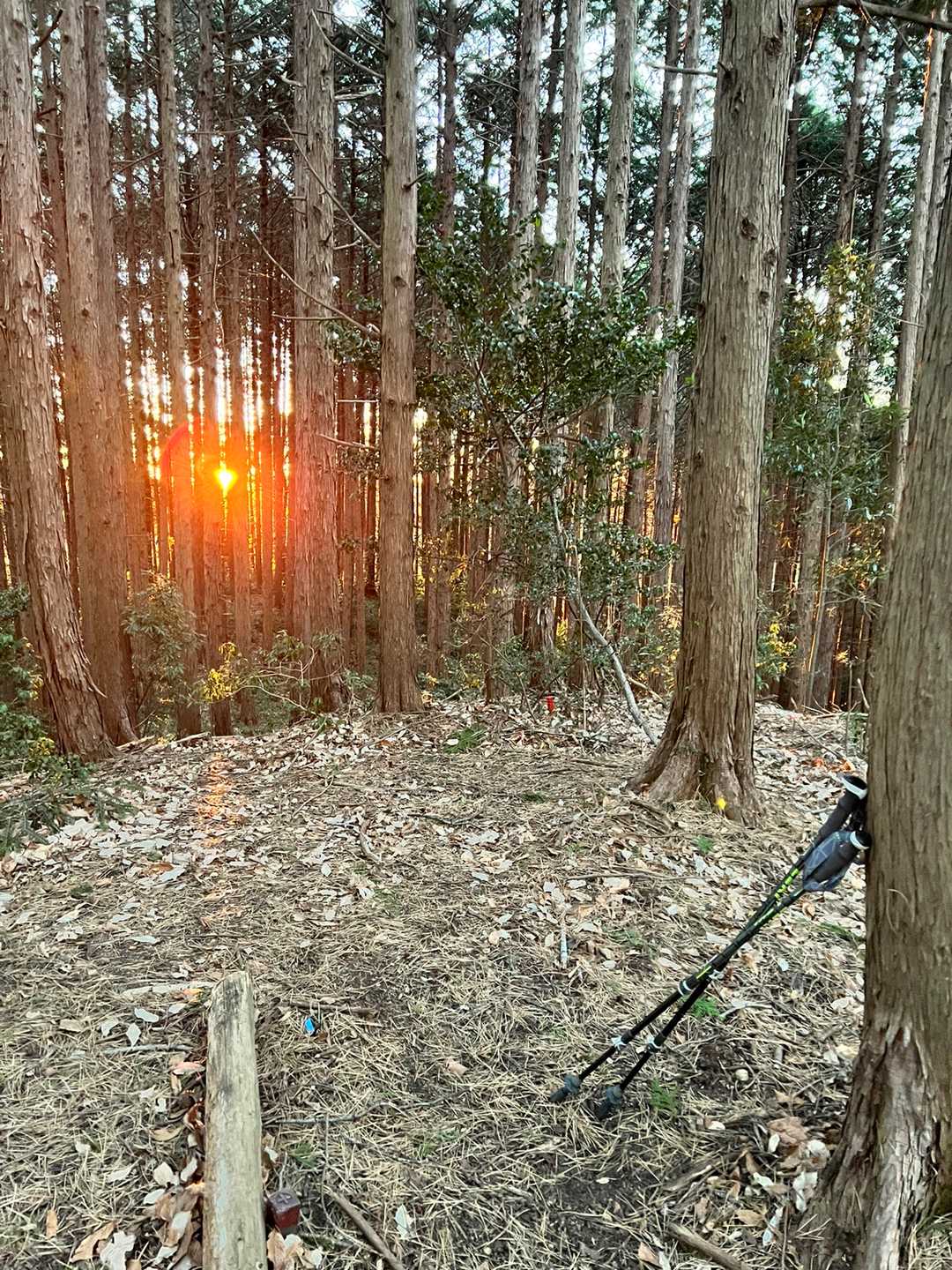 物見山GET！標識なし😅