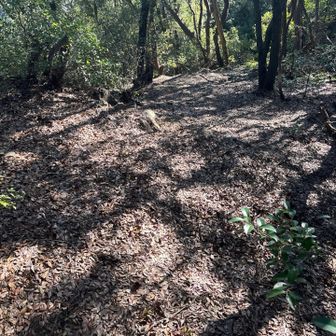 帰りはまだマシかと思ったけどまあまあ大変でした💦