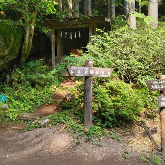 一般道から小さな祠に挨拶して本格的な登山道へ入る