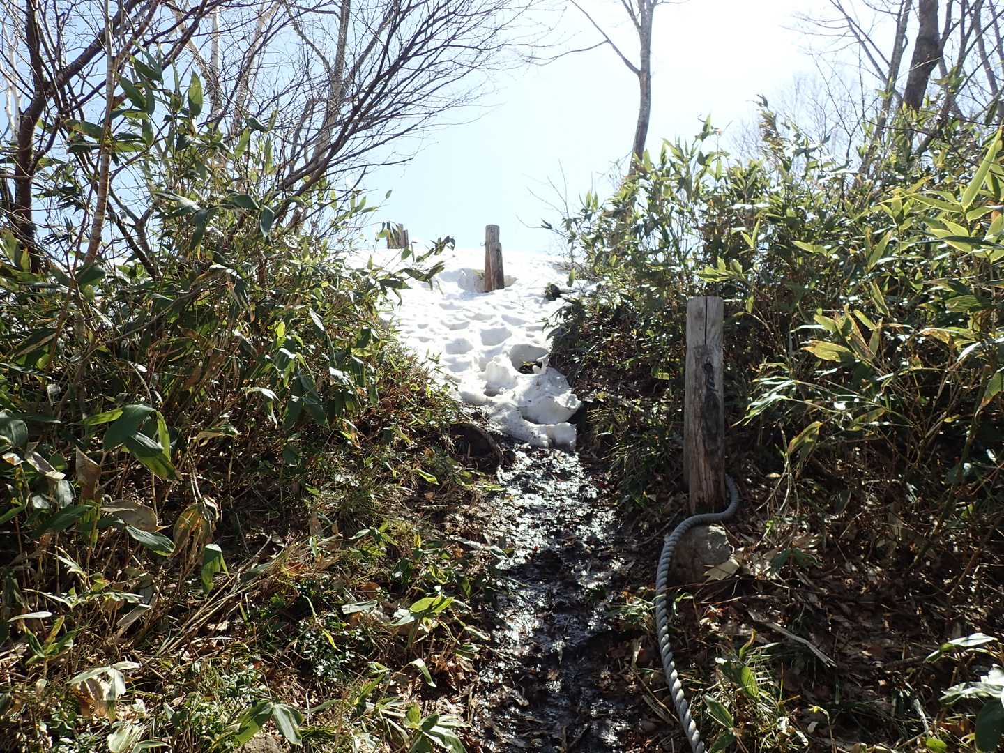 尾根に出ました。雪たっぷり。