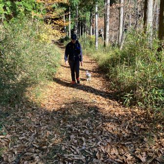 コレが主従関係！
コレが現実！

しかし秋だよなぁ
絵になるよなぁチクショー