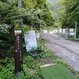 芝沢ゲート出発。駐車場は満車。