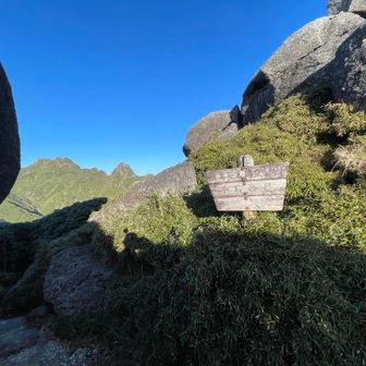 近くで見ると大きい