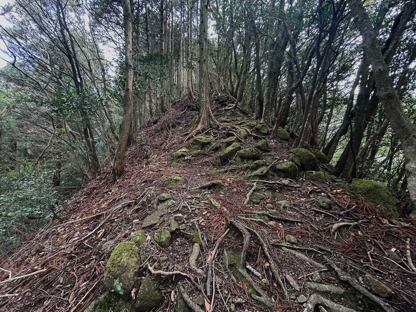 釈迦ヶ岳 往復コースの写真