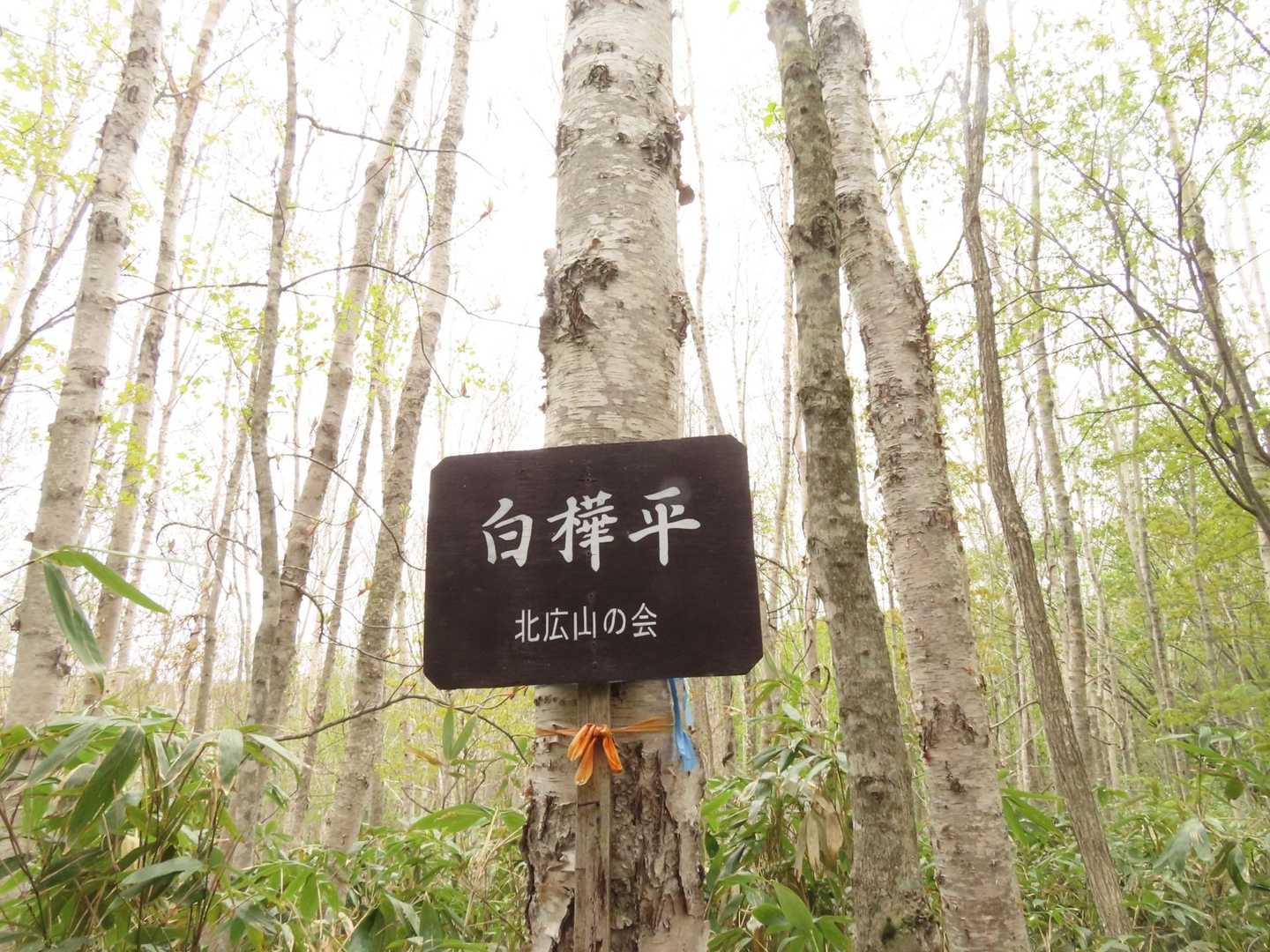ここで半分くらい？　