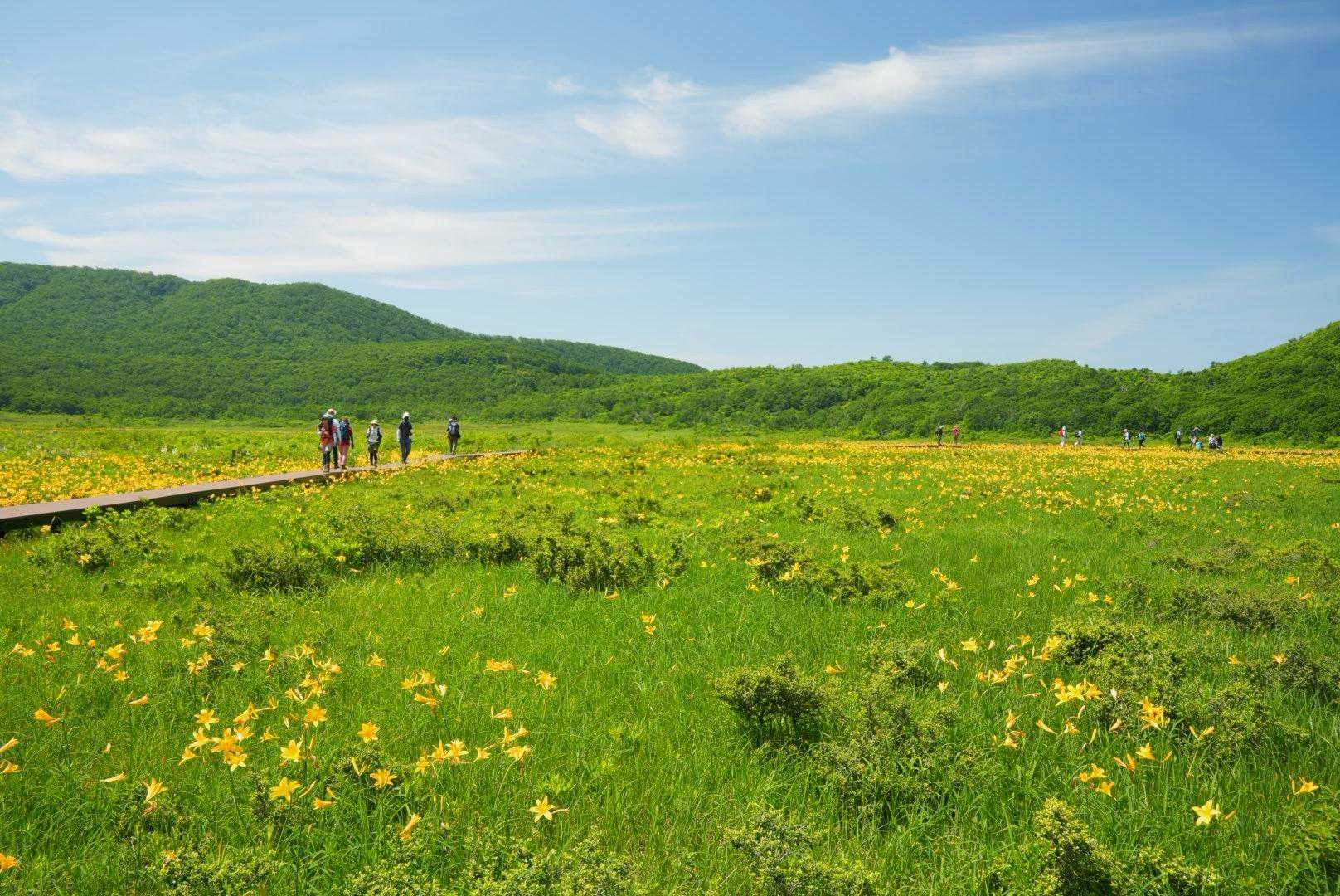 雄子沢登山口-雄国山 縦走コースの写真