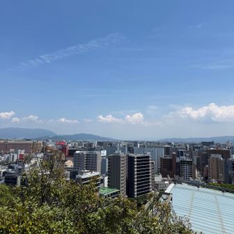 しかし、コンクリートジャングルを一望出来ました。これはこれで良かろうて。