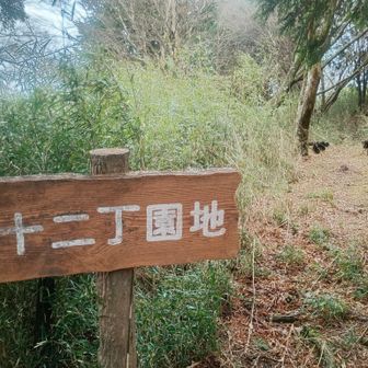 ここでお昼。芦ノ湖の展望。真下に道の駅あってガヤガヤ声聞こえる。