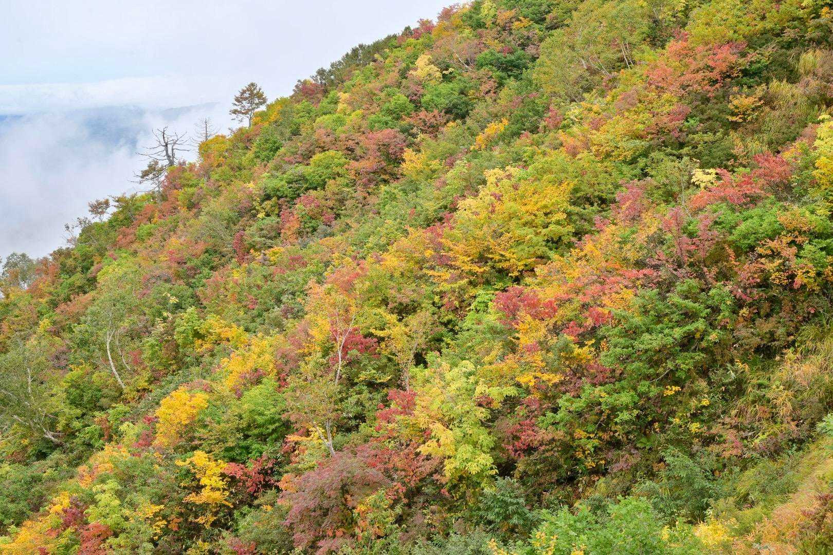 きれいな山肌