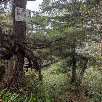 初めて尾瀬に入った年と同じ数字2024m
戸倉まで頑張ったら下りられそう