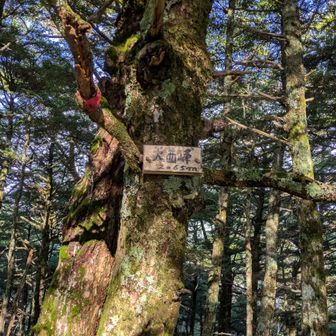 登山道から少し外れたところにありました