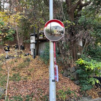 コレもよくわかりませーーん