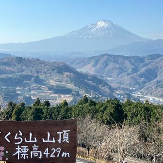 下山後に割と近い場所にある高松山へ欲張りセットを試みたのですが、辿り着けなかった（想定外の場所に着いた）ので今回は諦めました😅、お疲れさまでした👋