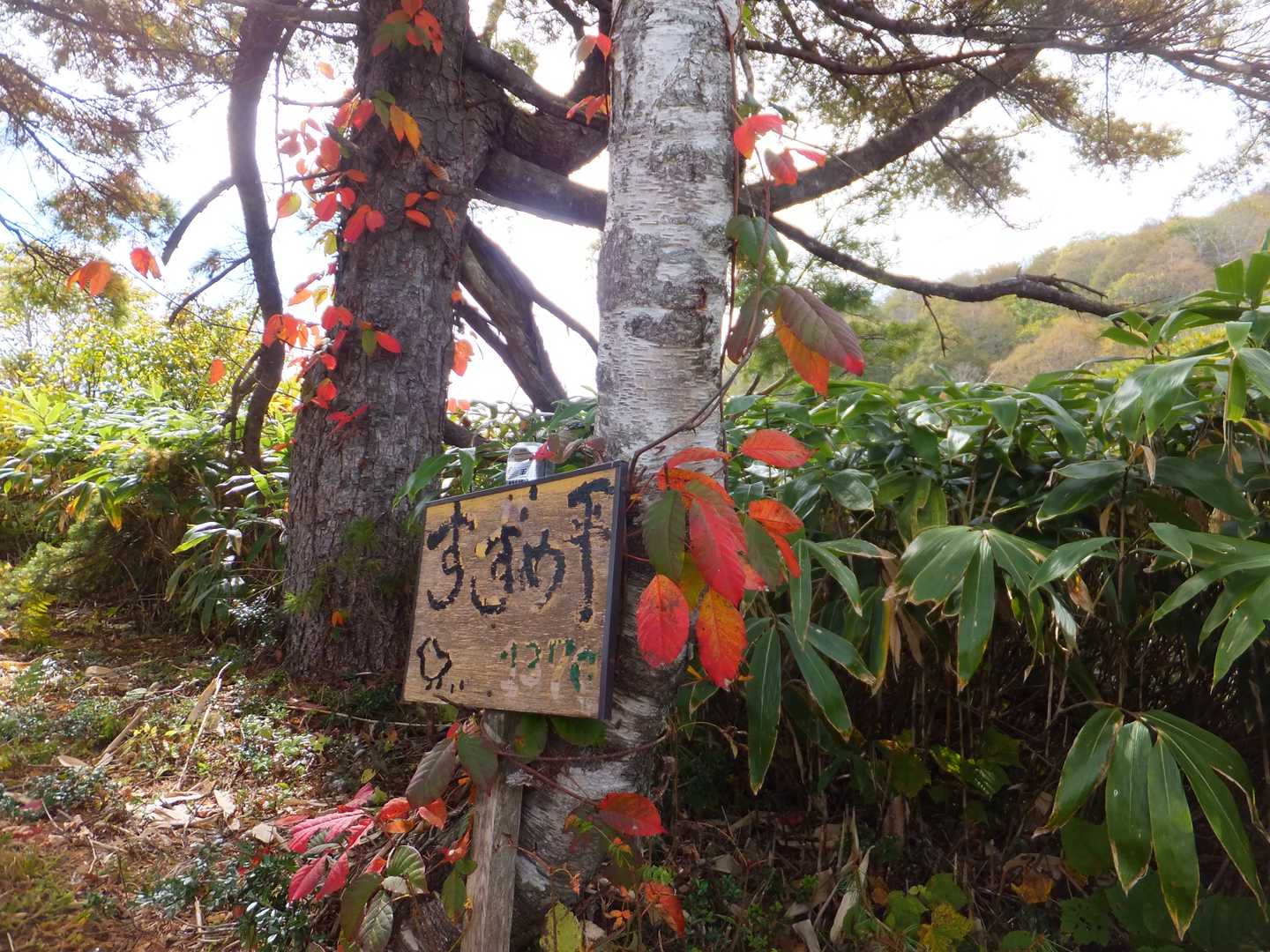 12時45分、雀平