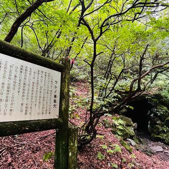 ワシノ巣風穴へ