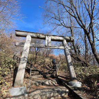 富士山神社⛩️