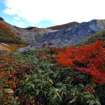 旧道分岐の紅葉と爆裂火口斜面