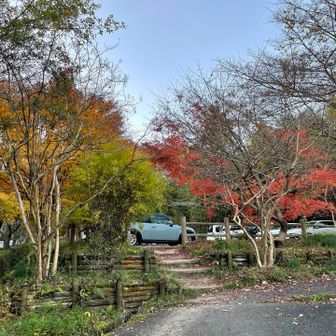 おつかれ山❗️