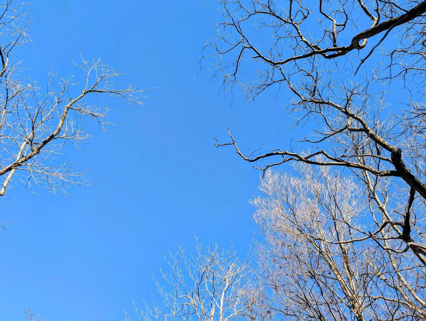 見上げた空の青さにうっとり