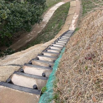 段々を整備されてます