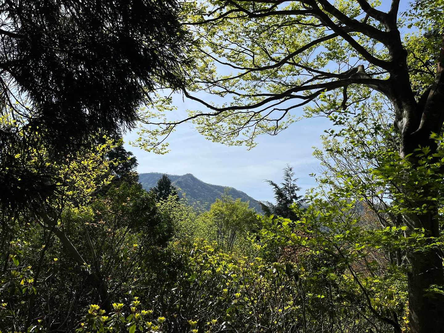 花房山１/2中間地点から
山頂はあのピークの向こう