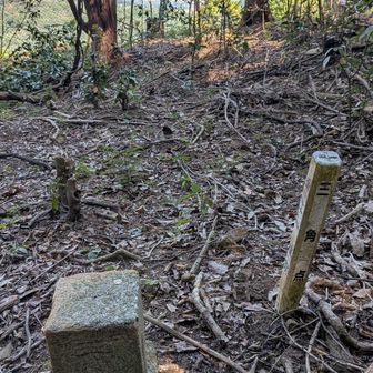 もう一つの大谷山
YAMAP1861座目
■大谷
等級 :　三等三角点
緯度 :　33.803349917
経度 :　130.647808472
標高 :　199.14m
COD :　TR35030556101
場所 :　福岡県鞍手郡
訪問 :　2026年10月17日
